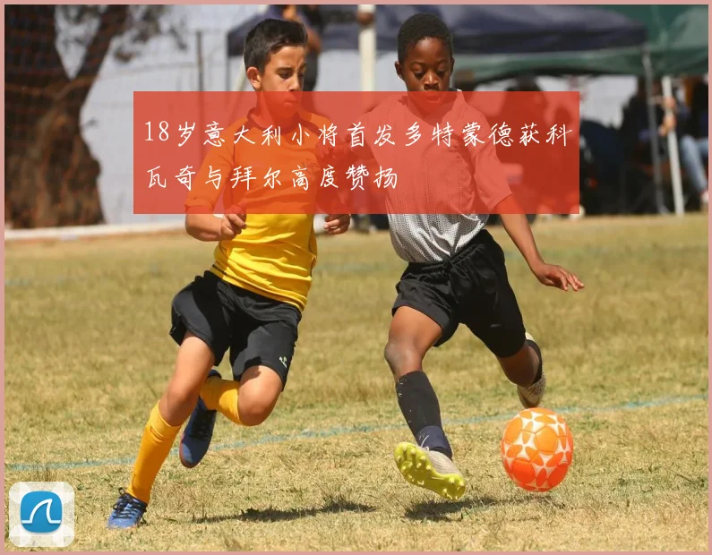 18岁意大利小将首发多特蒙德获科瓦奇与拜尔高度赞扬