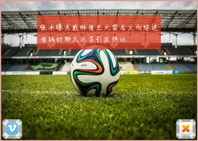 张冰曝光戴琳借王大雷名义向球迷借钱的聊天记录引发热议