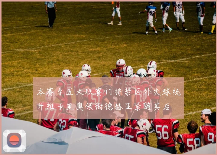 本赛季五大联赛门将禁区外失球统计维卡里奥领衔德赫亚紧随其后